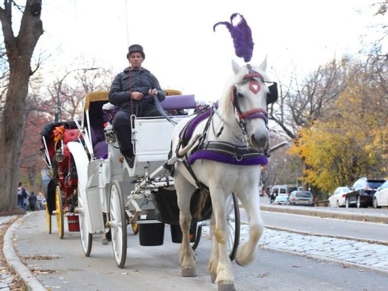 Horse Carriage Tour in New York City's Central Park Small Loop