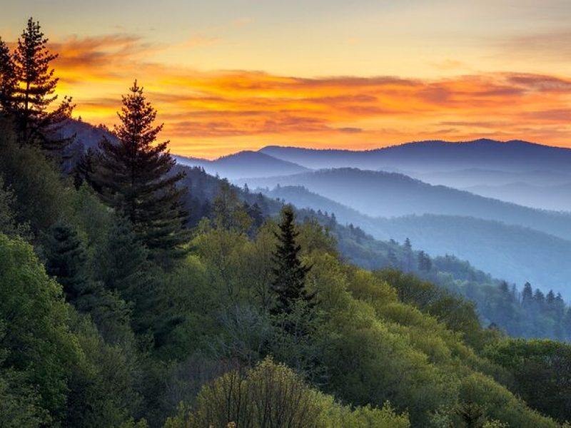 4-Day Tennessee Great Smoky Mountain Tour from New York