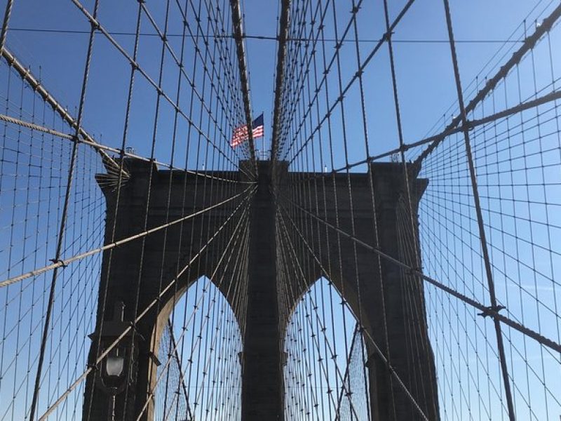 Private Walking Tour: Brooklyn Bridge and DUMBO
