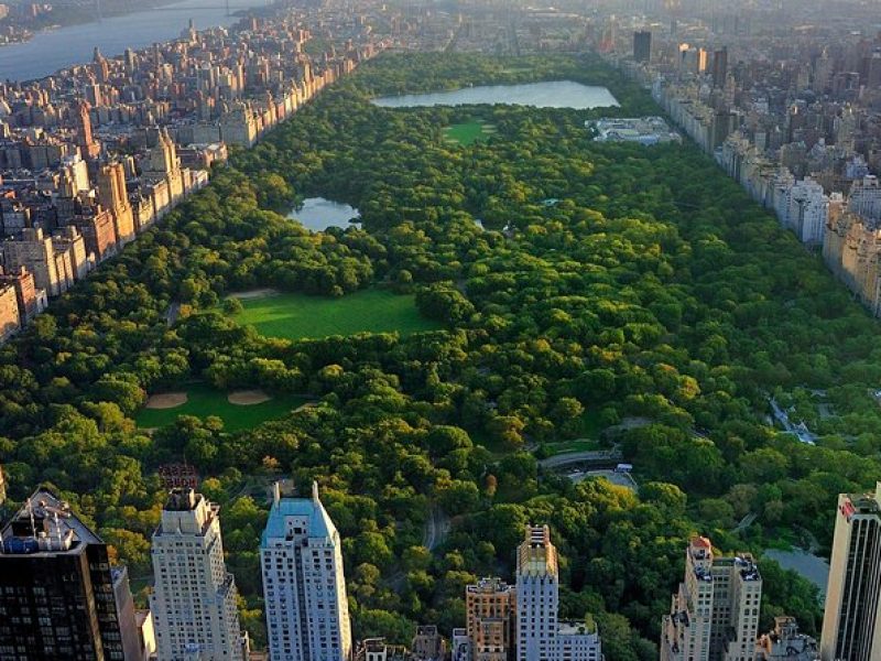 Classic 1-Hour Central Park Pedicab Tour
