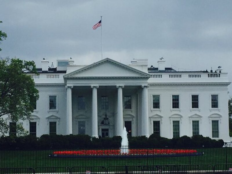 Washington DC and Monuments Day Tour from New York