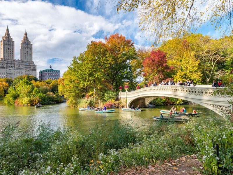 Central Park Private Walking Tour with Transfers