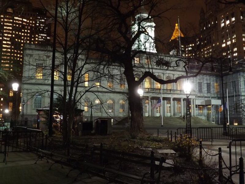 Lower Manhattan 2-Hour Tour