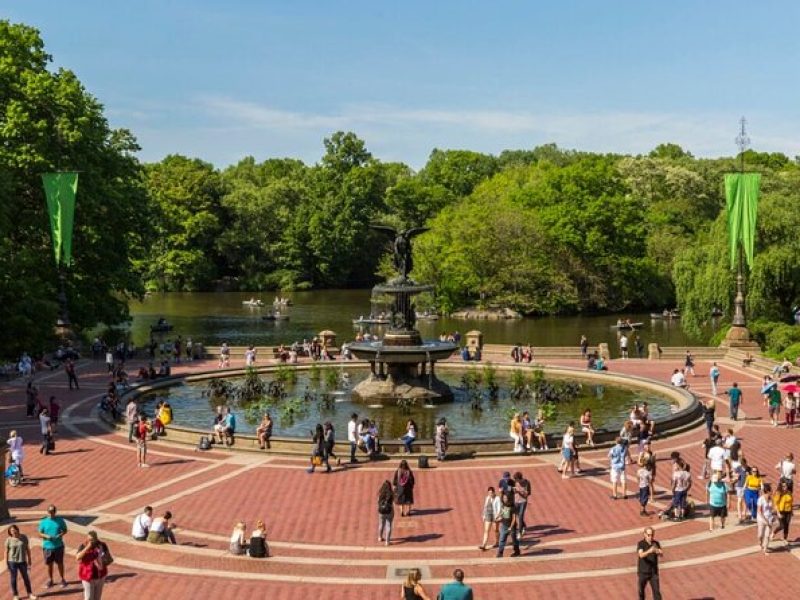 Central Park tour by pedicab. Life changing experience