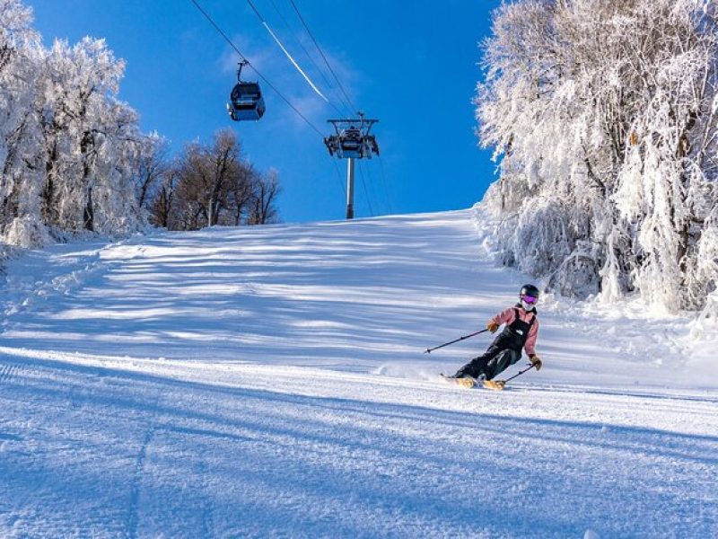Belleayre Mountain Ski Center Day Trip from New York City